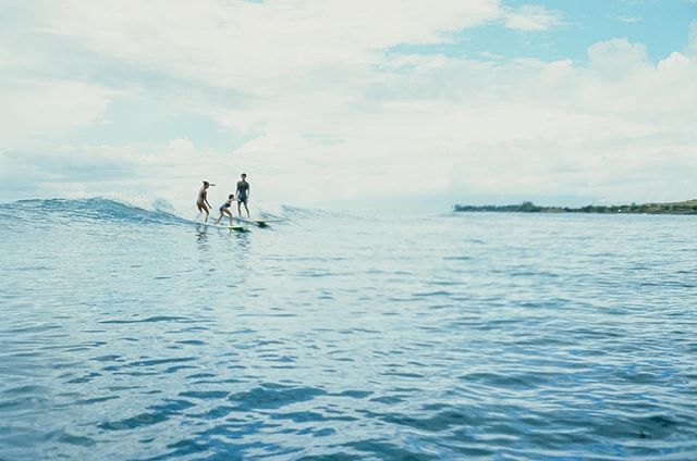 TySimpsonKane tweet media