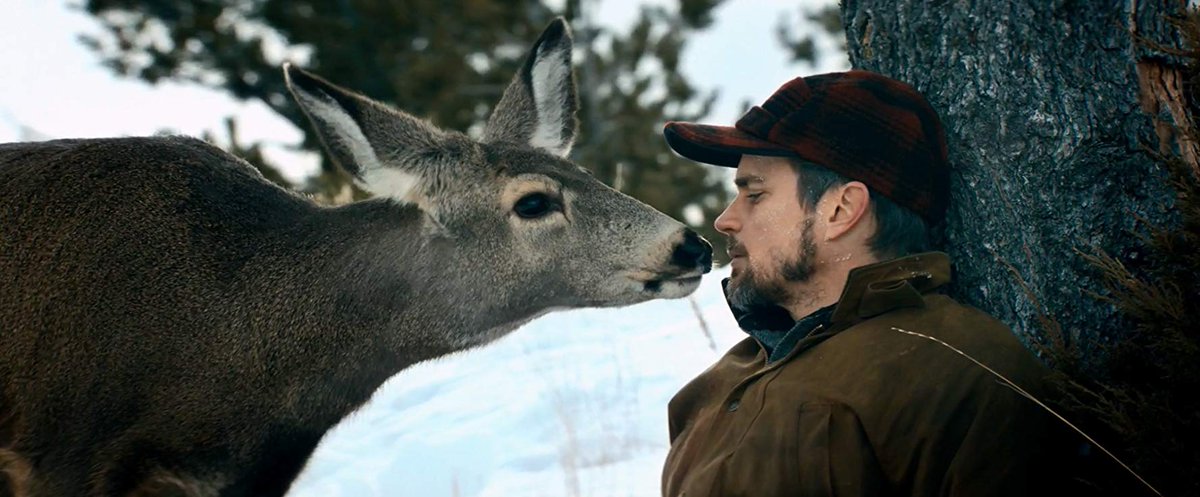 CalMickC's tweet image. My first, last, and only friend in Siberia

🦌
#NYCBound