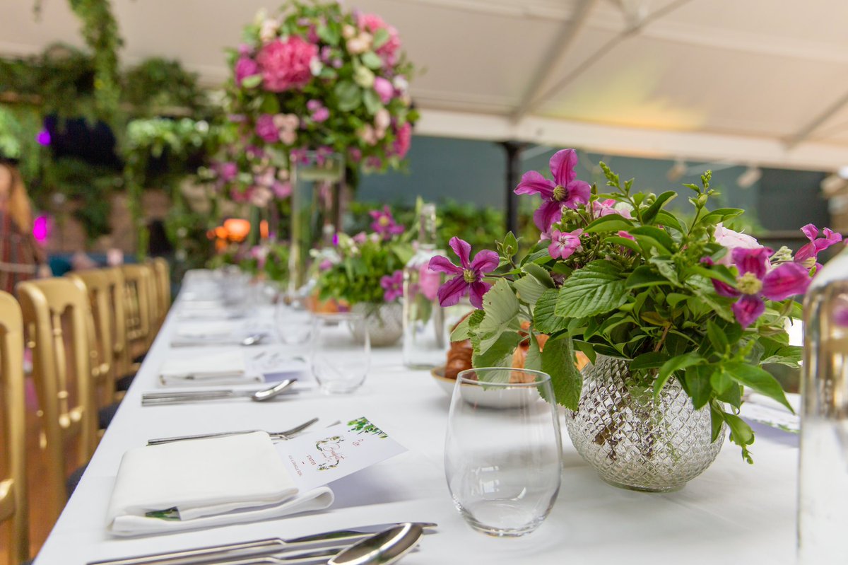 Celina Maitland tweet media