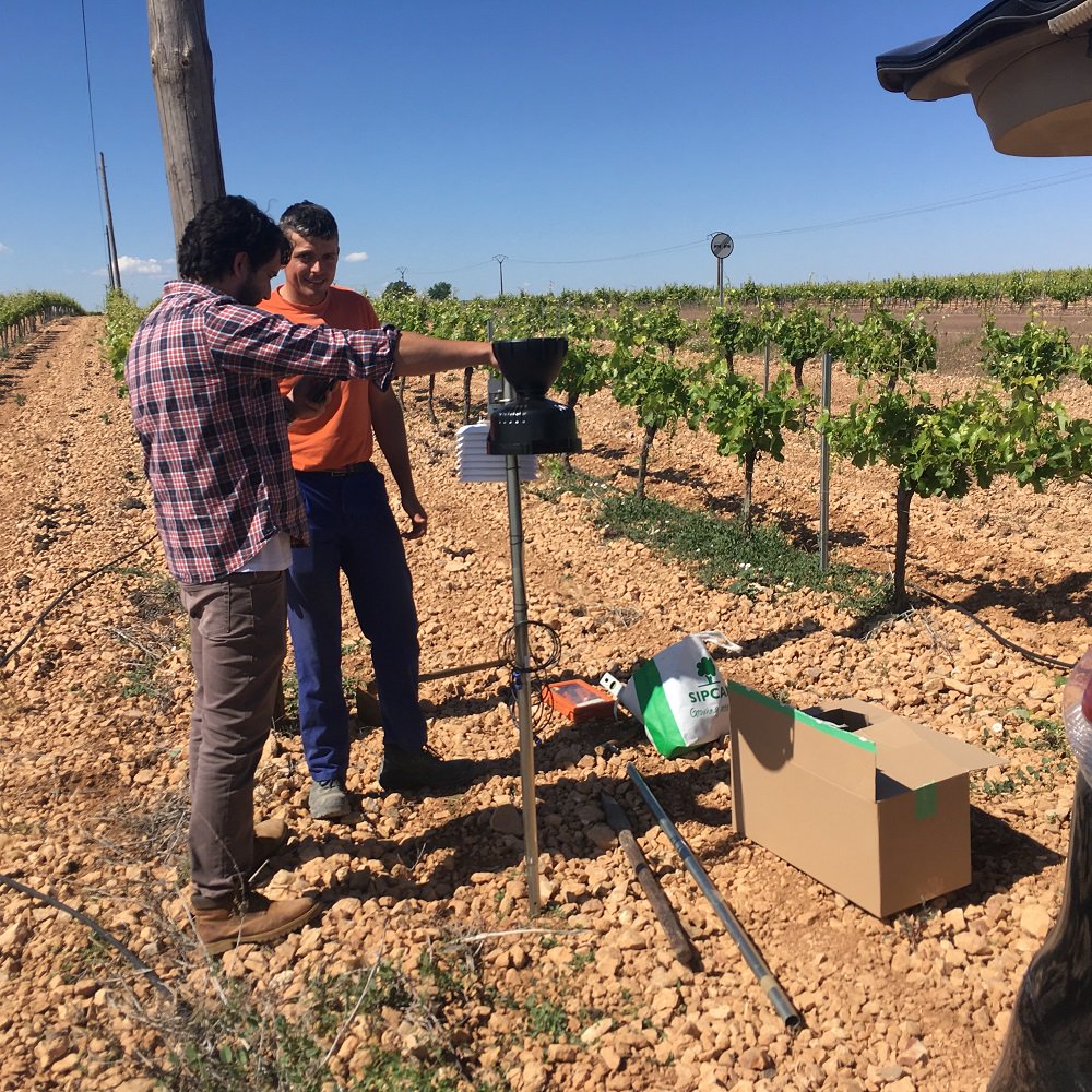sipcam_iberia's tweet photo. ¡Completado! 👍 montaje, colocación, puesta en funcionamiento y entrega de la estación meteorológica #CESENS a nuestros colaboradores de #Agrosierra en Villarrubia de los Ojos, #CiudadReal. 

➡️ Desde #SipcamIberia acercamos a nuestros viticultores las modernas tecnologías 4.0 https://t.co/UN4cG22bO5