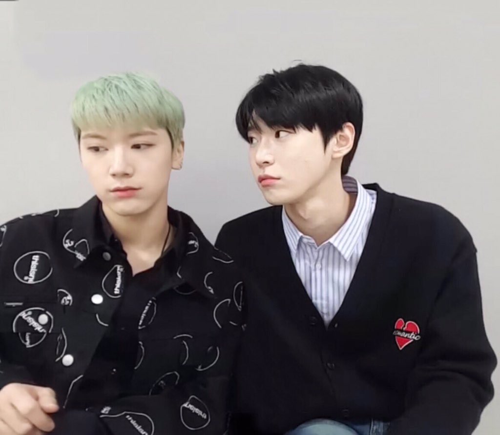 มั่ยมุ้ปอรล์•͈ᴗ•͈🐰🐱 tweet media