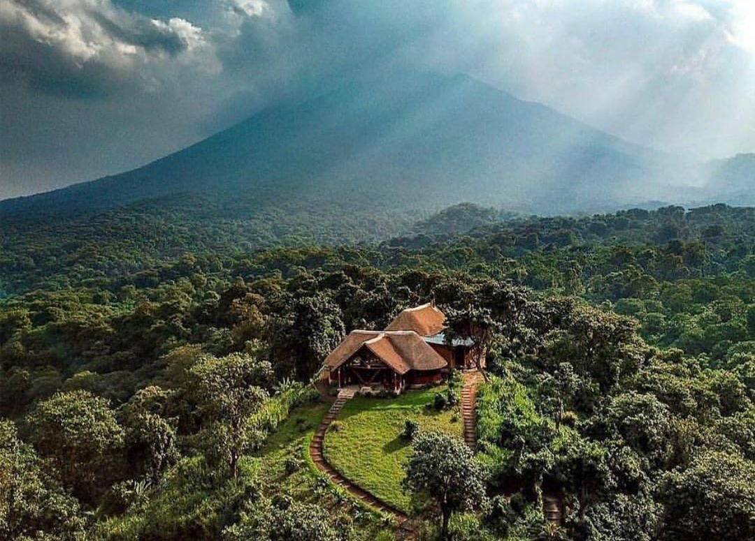 AzzureNature's tweet photo. Le parc national de Virunga . L’un des cinq sites congolais au patrimoine mondial de l’UNESCO
#AzzureNature #Patrimoinecongolais #PatrimoineMondial #VisitezleCongo
Crédit: @axelrenzel https://t.co/y78dxSQfQP