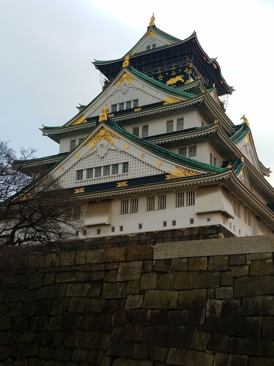 Anna Vasquez tweet media