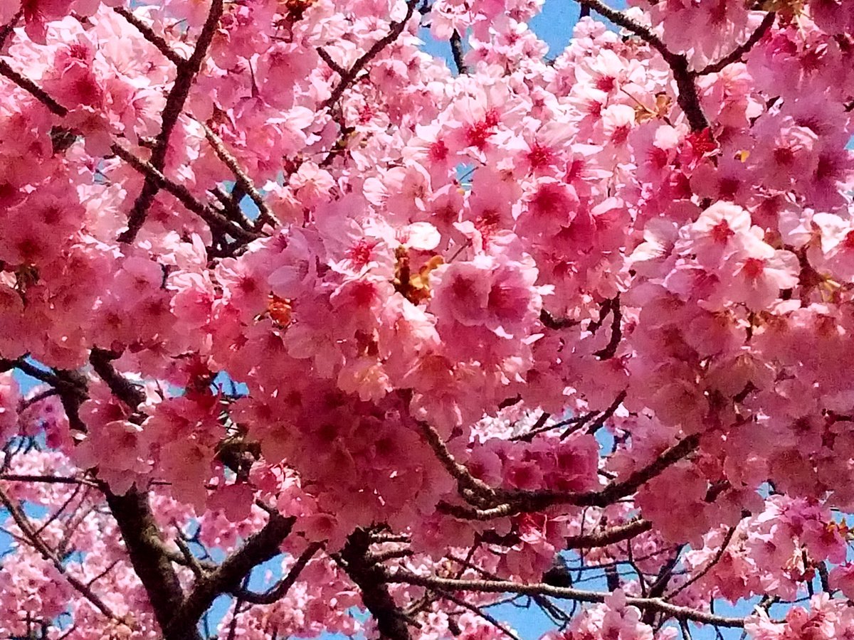 Anna Vasquez tweet media