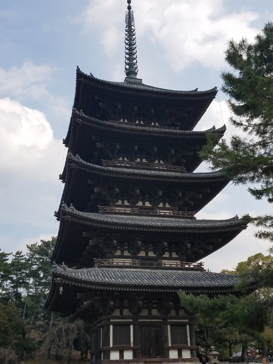 Anna Vasquez tweet media