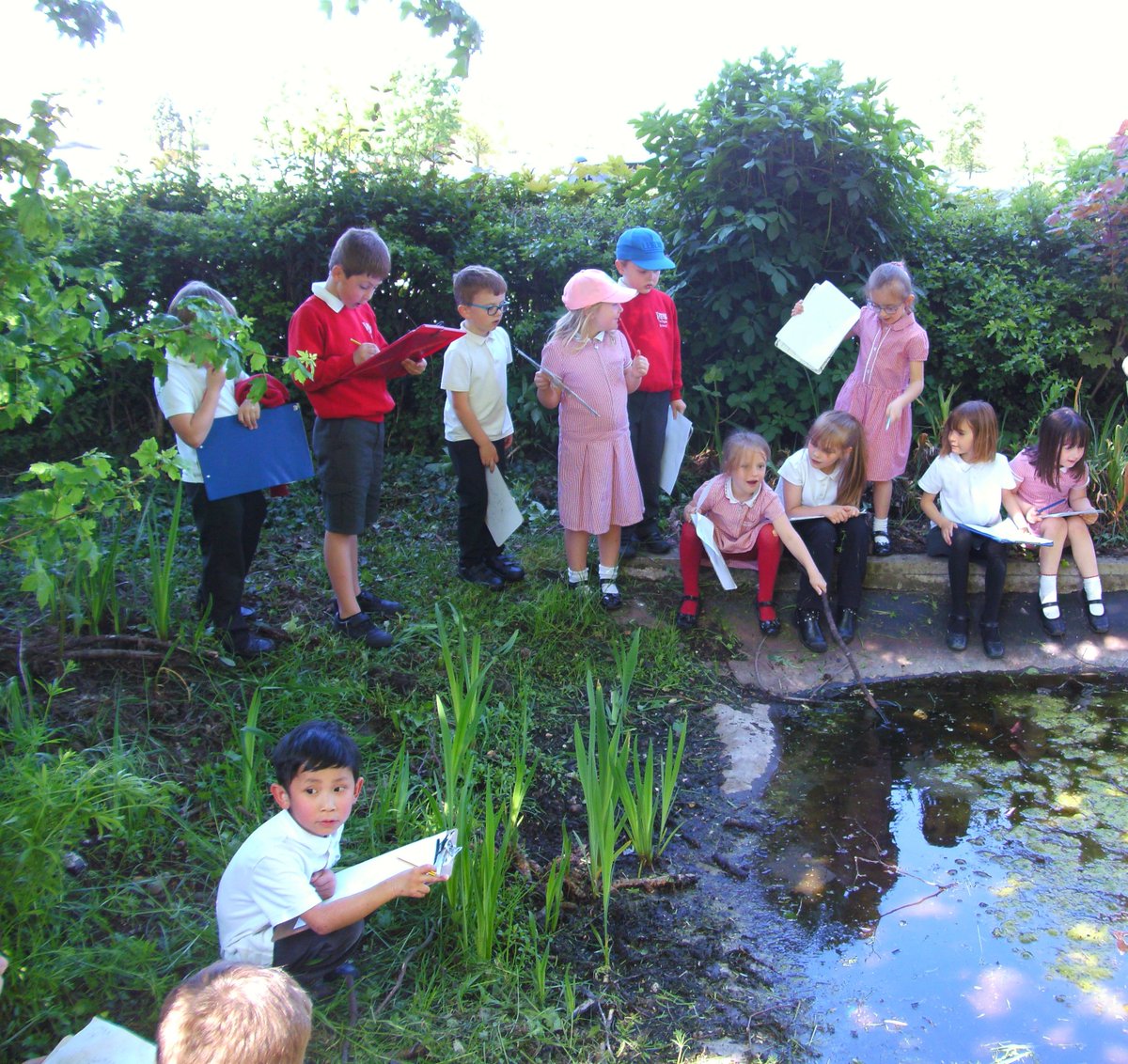 Year 1 have enjoyed exploring habitats around school including the pond and the mini beast hotel. Thank you <a href="/GreenerG/">Greener Growth CIC</a> for the work you did to improve the pond.