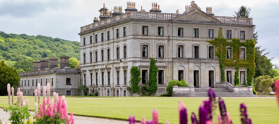 Irish History Bitesize! tweet media