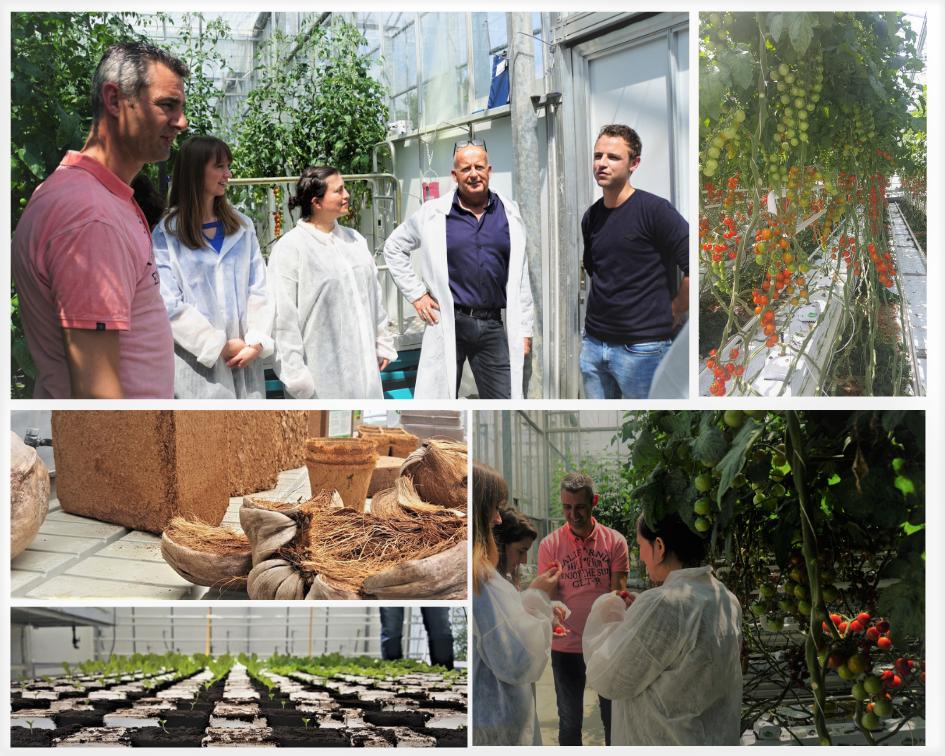 Yesterday our team visited @vdknaapgroep. Lots of inspiration, fun and of course we gained a lot of knowledge on rooting and growing media in the #horticulture sector. And last but not least: we tasted delicious tomatoes, cucumbers and strawberries. Thanks for the hospitality!