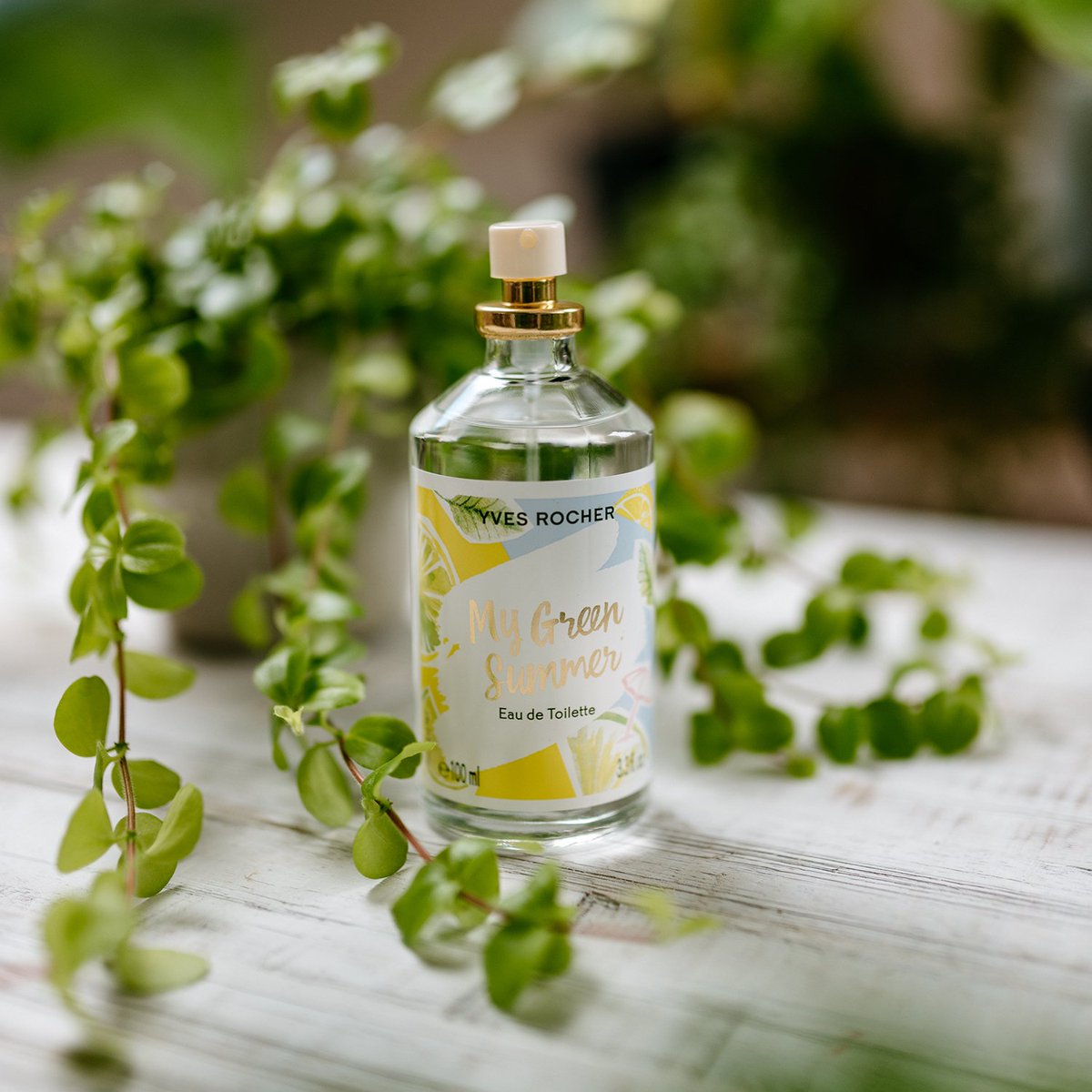 YvesRocherFR's tweet photo. [IDÉE CADEAU] En manque d'idées cadeaux pour la Fête des mères ? Pensez à notre Edition limitée Green Summer à partir de 2€50 😍 https://t.co/P54iLpeL8v
#YvesRocher #GreenSummer #ideescadeaux #fetedesmeres #actbeautiful https://t.co/LDQbxlJ9y5