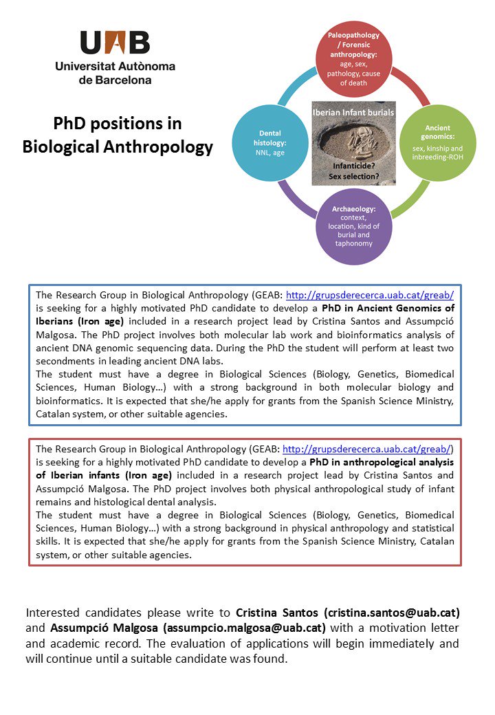 cmpereirasantos's tweet photo. PhD/MSc in Ancient Genomics of Iberians (Iron age)
PhD/MSc in Anthropological analysis of Iberian infants (Iron age)
Interested candidates contact cristina.santos@uab.cat and assumpcio.malgosa@uab.cat with a motivation letter and academic record. https://t.co/DR2NFV1yuo