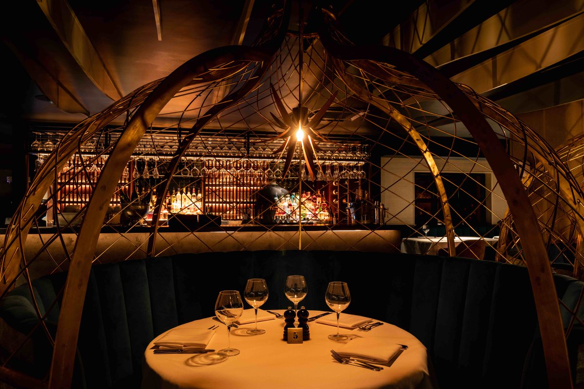 DLSM Studio tweet media