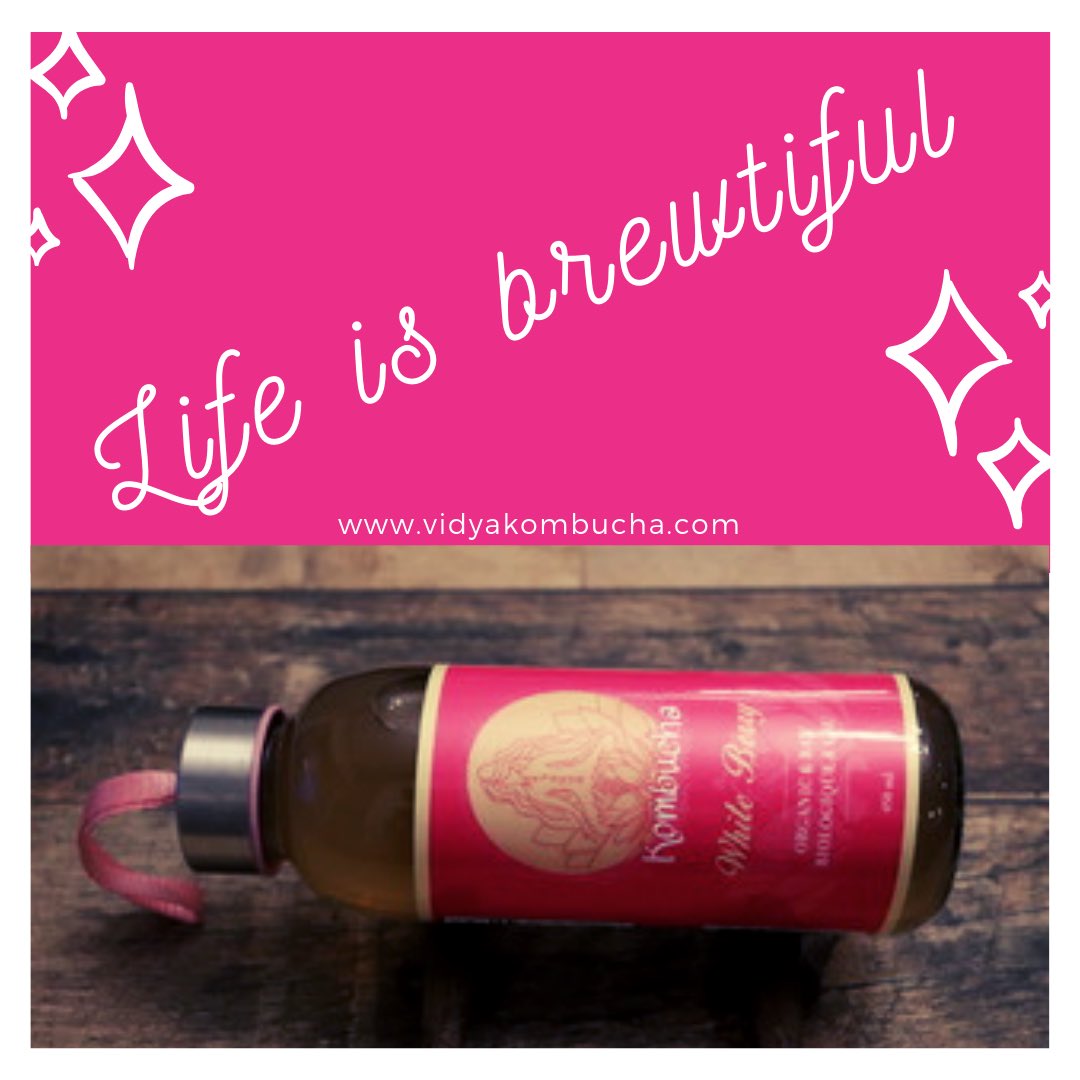 Vidya Kombucha (@vidyakombucha) on Twitter photo 