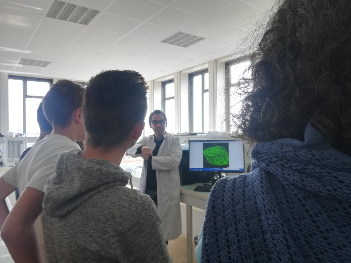 InsermGrdOuest's tweet photo. Ce matin, une classe de 3ème du collège Le Haut Gesvres à Treillères a visité le labo @PhyosUMR1238 à #Nantes Au programme : parcours des chercheurs, culture cellulaire, histologie et impression 3D #DLInserm2019 https://t.co/y8HlSeTqqn
