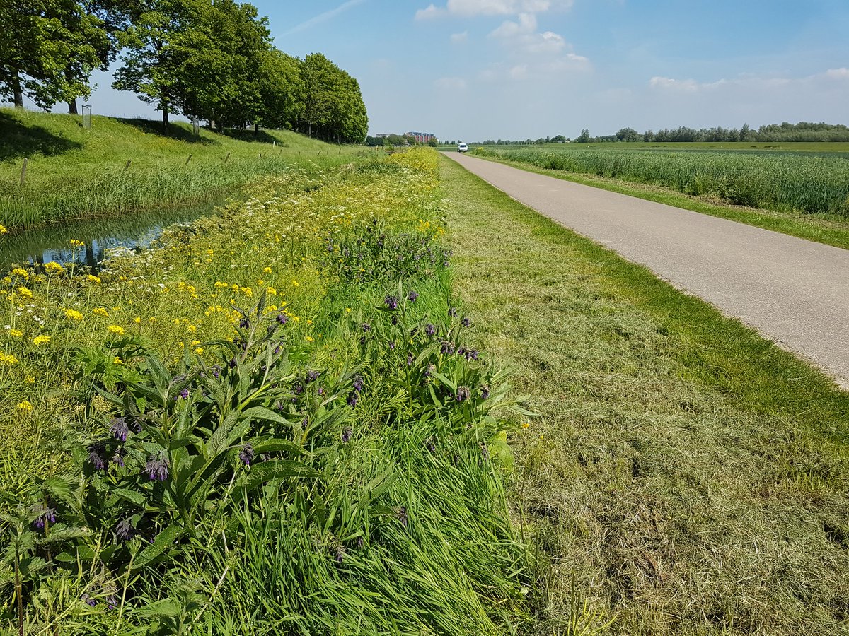 Poldernatuur tweet media