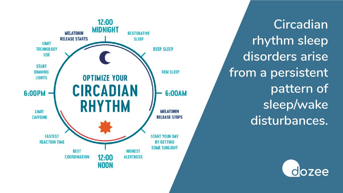 Circadian Rhythms What It Is And Ways To Balance It, 49 OFF