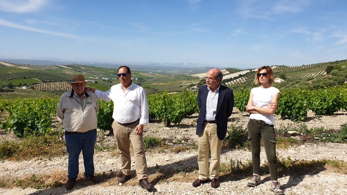 vinosdomm's tweet photo. ¡Foto de familia en plena Sierra de #Montilla! ¡2ª parada hoy en @LagarBlanco para conocer vinos de crianza biológica! De la mano de Miguel Cruz @CruzMarqus #MontillaMoriles @LagaresSierra https://t.co/EyGZZry3Ir