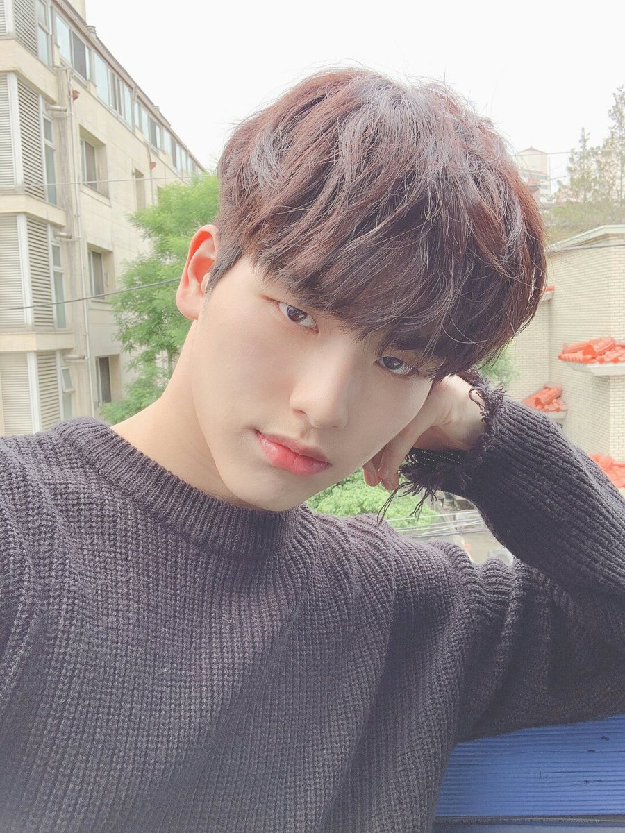 원더나인(1THE9) tweet media