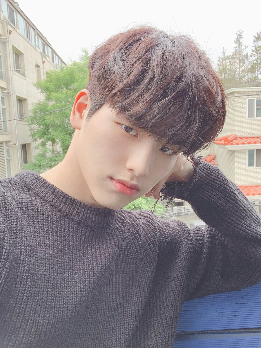 원더나인(1THE9) tweet media