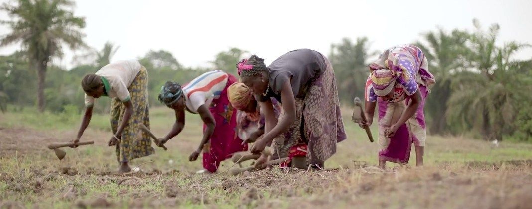 MassimilianoG73's tweet photo. Using #AI, Edge, #IoT for #Agriculture, Microsoft #FarmBeats addresses the challenges of farmers in Africa, starting in Kenya https://t.co/bTVPPabfWq #AgTech #AgriTech #SmartFarming #PrecisionFarming #DecisionFarming #InternetOfFarming https://t.co/Wr6DuKahlZ