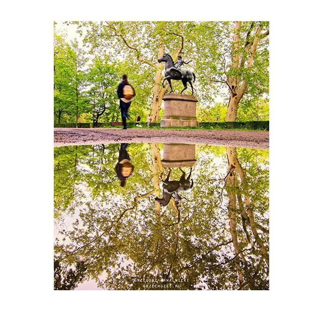 GZawalnicki's tweet photo. °113°
#wrocław #pegaznaamorze #reflection #sculpture #landscapephotography #naturephotography #reflectiongram #tv_pointofview #photopoland #magicofpoland #tv_reflections #puddle #puddlegram #reflection_shotz #rsa_reflections #polandsights #polandgrams #l… https://t.co/TeuHDCLAvs https://t.co/ELdwDc2HCc