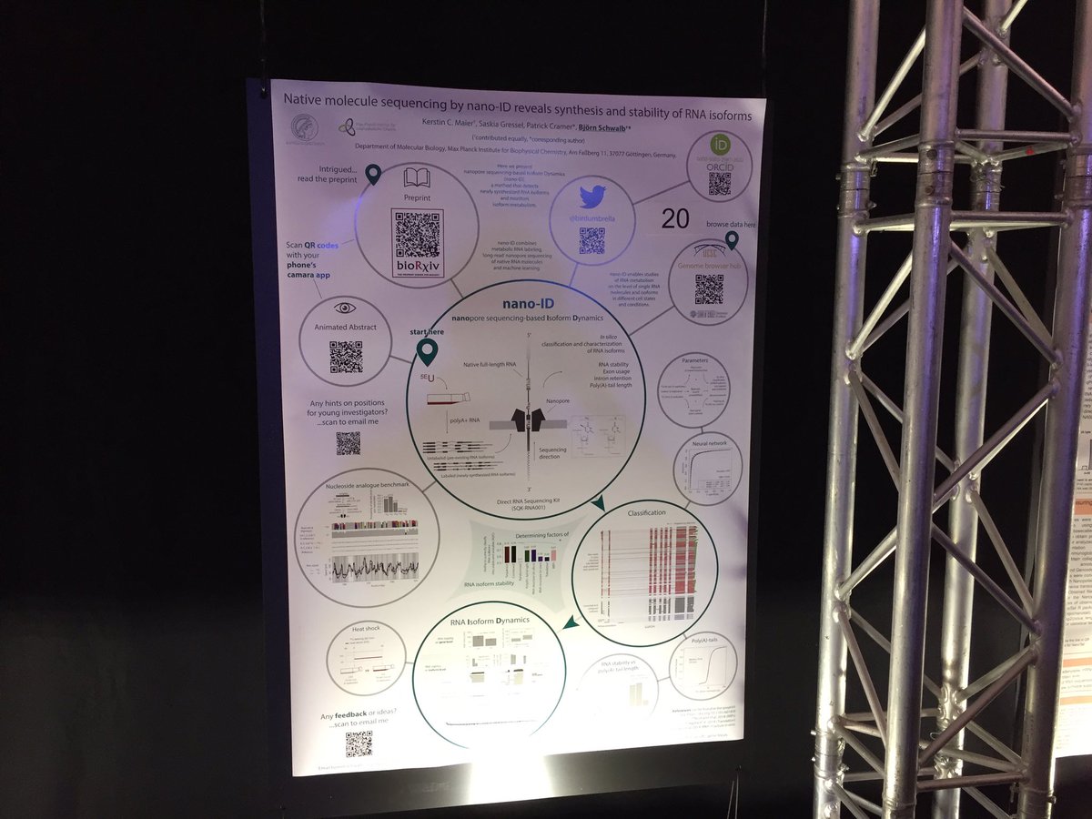 What makes mRNA stable? Check out how we used #nativeRNA <a href="/nanopore/">Oxford Nanopore</a> sequencing to reveal synthesis and stability of RNA isoforms #nanoID #IsoformDynamics at poster 20 <a href="/NanoporeConf/">Oxford Nanopore Events</a> #NanoporeConf