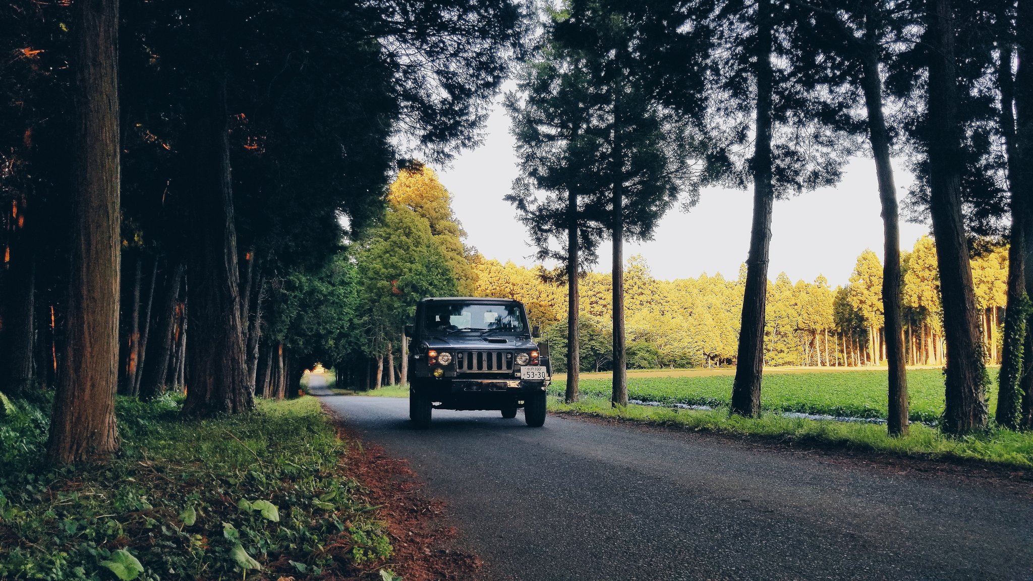 Nipponoffroad Nipponoffroad Twitter