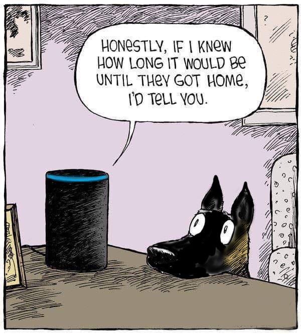 PSOSDogs's tweet photo. We would love to know what our dogs would look up on the internet. What would yours look up? #FreeDogTreats #MakeMyHumanFetch 🐾🏴󠁧󠁢󠁳󠁣󠁴󠁿 #PoliceDogs https://t.co/ihLcd6EAr5