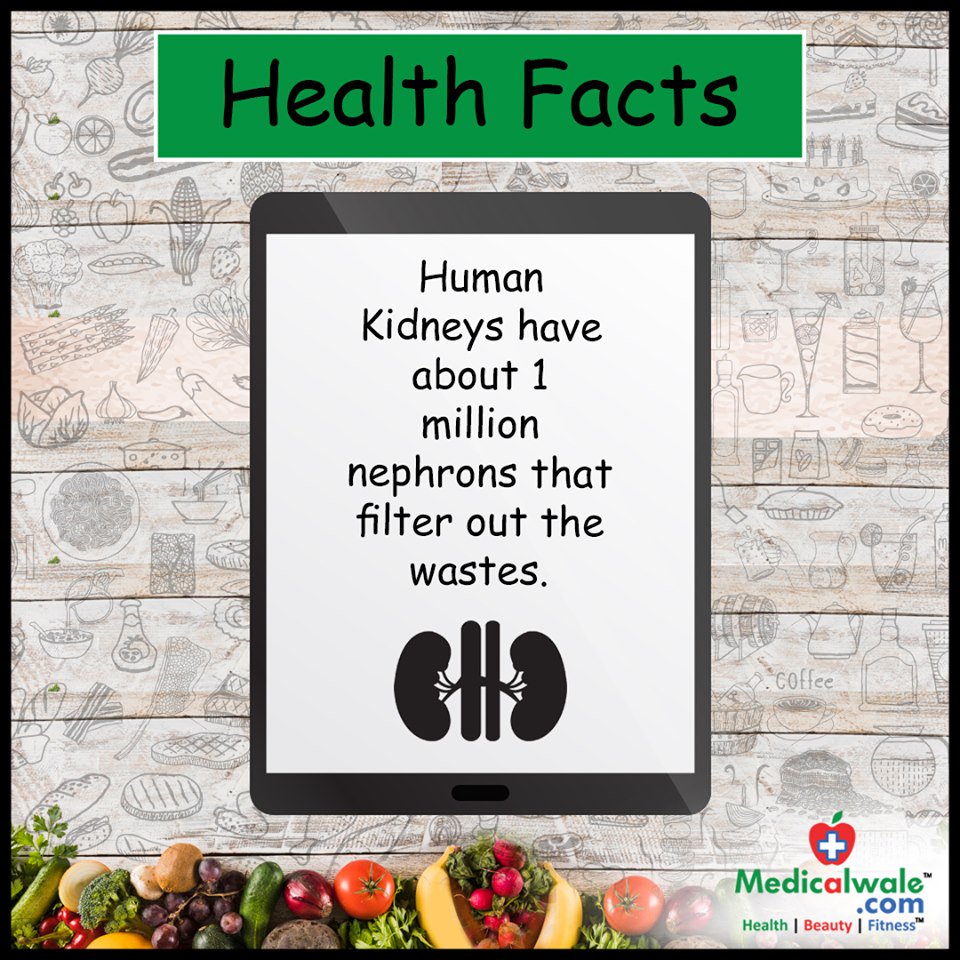 Medicalwalecom's tweet photo. Health Facts!!
Download the app to know more about your health - https://t.co/R8YDbPyu58
#Medicalwale #HealthFacts #HumanKidneys #1Million #Nephrons #Filter #Wastes #Body #Organs #Purify #Ureters #HealthTips #DoctorsApp #Healthcare #MedicalAssistant #HealthyYou #HealthApp https://t.co/pjtWjtojuK