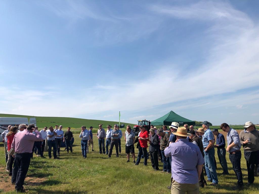 UK_COFCO's tweet photo. Thank you to @ragtseedsuk for hosting our Regional Trials day in #Cambridgeshire, great turnout and fantastic weather ☀️ 🌾 https://t.co/ph11tGiWYb