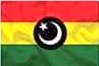 PNC_Official's tweet photo. PNC flag. https://t.co/IroNkTLLbr