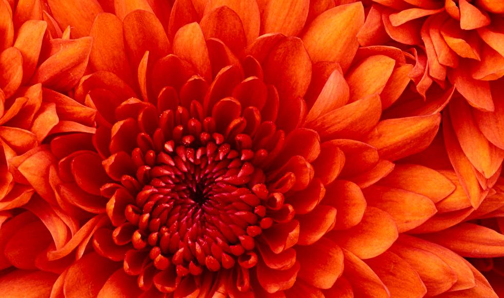 AutomationTui's tweet photo. @TuiTraining test https://t.co/tqgssRvNJK
