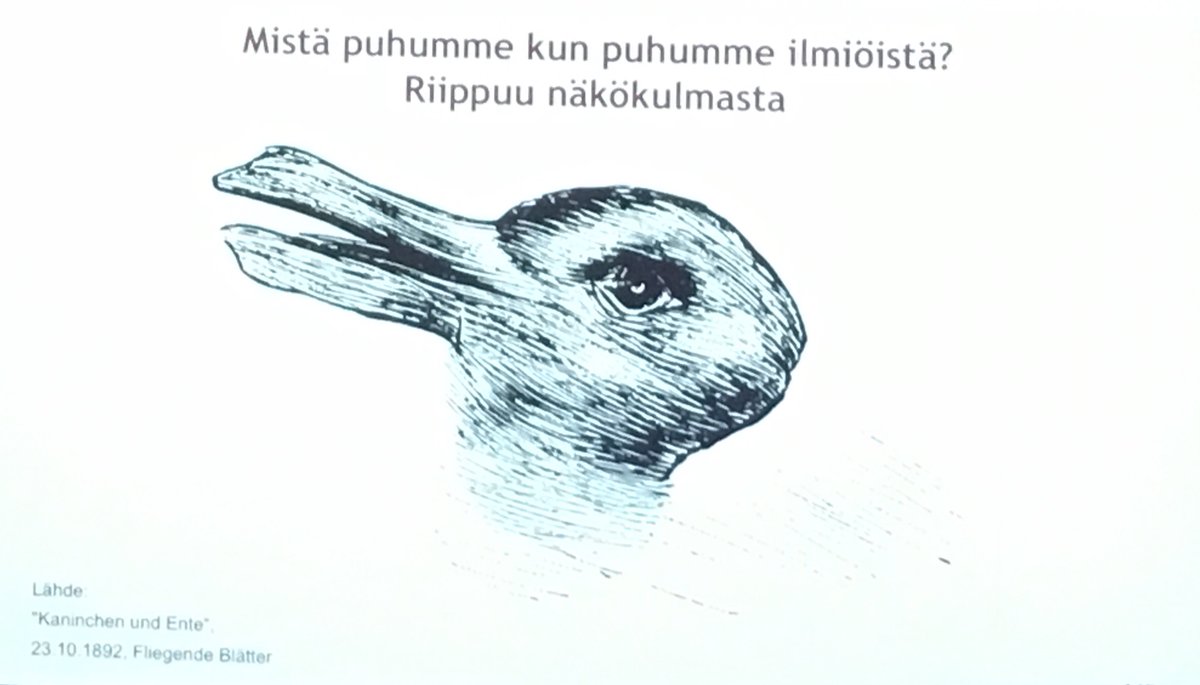 Rusakko vai Ankka? #ilmiö #tervesos2019