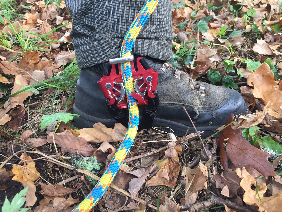 Harken_SandR's tweet photo. Arborist professional Jo Hedger from @arborventure uses Ninja™ foot ascender to climb faster and easier. Find out more: https://t.co/ZUymkBcNYI
#Arborist #ArbLife #ArboristGear #ArbGear #ArboristEquipment #ArboristClimber #ArbWork #TreeSurgeon #TreeWork #Ascender #FootAscender https://t.co/lBkVip90Rn
