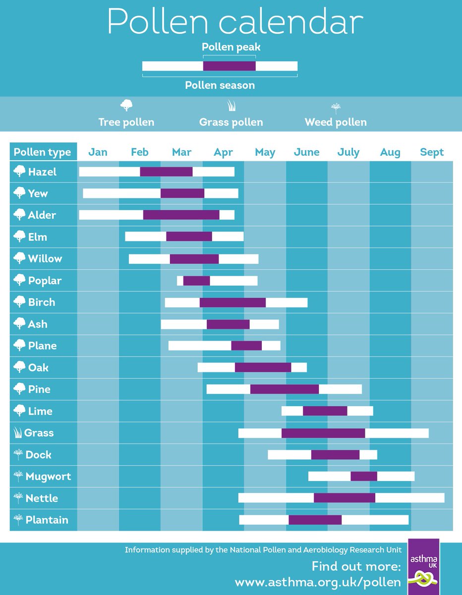 asthmalunguk's tweet photo. Did you know that different types of #pollen are released at different points throughout the year? ๐ณ๐คง
Get clued up on #hayfever and cut your risk of an #asthma attack: https://t.co/4nuxyvMUyT https://t.co/IZpAxMVh6e