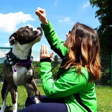 JerryGreenDogs's tweet photo. Have you joined our #ActivePaws virtual race yet? Its free to enter, so why not! Get the kids, colleagues, friends and, of course, dogs involved and lets all get active and raise money for deserving doggies this June! ๐๐ถ
Sign up here https://t.co/q1jJNujz8K
@Curlysathletes https://t.co/PgbgzZLAft