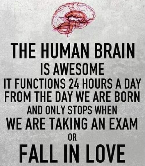 ScientistFactss's tweet photo. https://t.co/iJj5ppFtDP