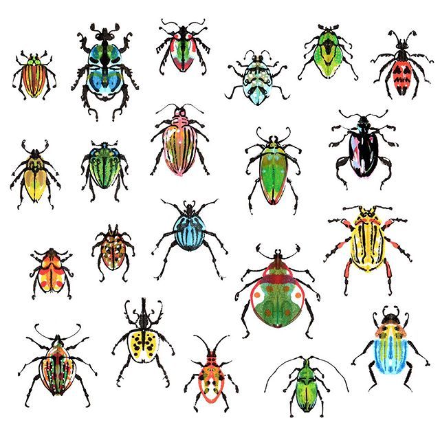 StudioSpilsbury's tweet photo. Bug drawing today...
#bugs #insect #animallife #nature #animal #beetles #drawing #illustration #rorschach #6legs #coleoptera #colourfusion #creepycrawlies #studiospilsbury https://t.co/Smi1Dn7YeQ https://t.co/SVPwT1QsUQ