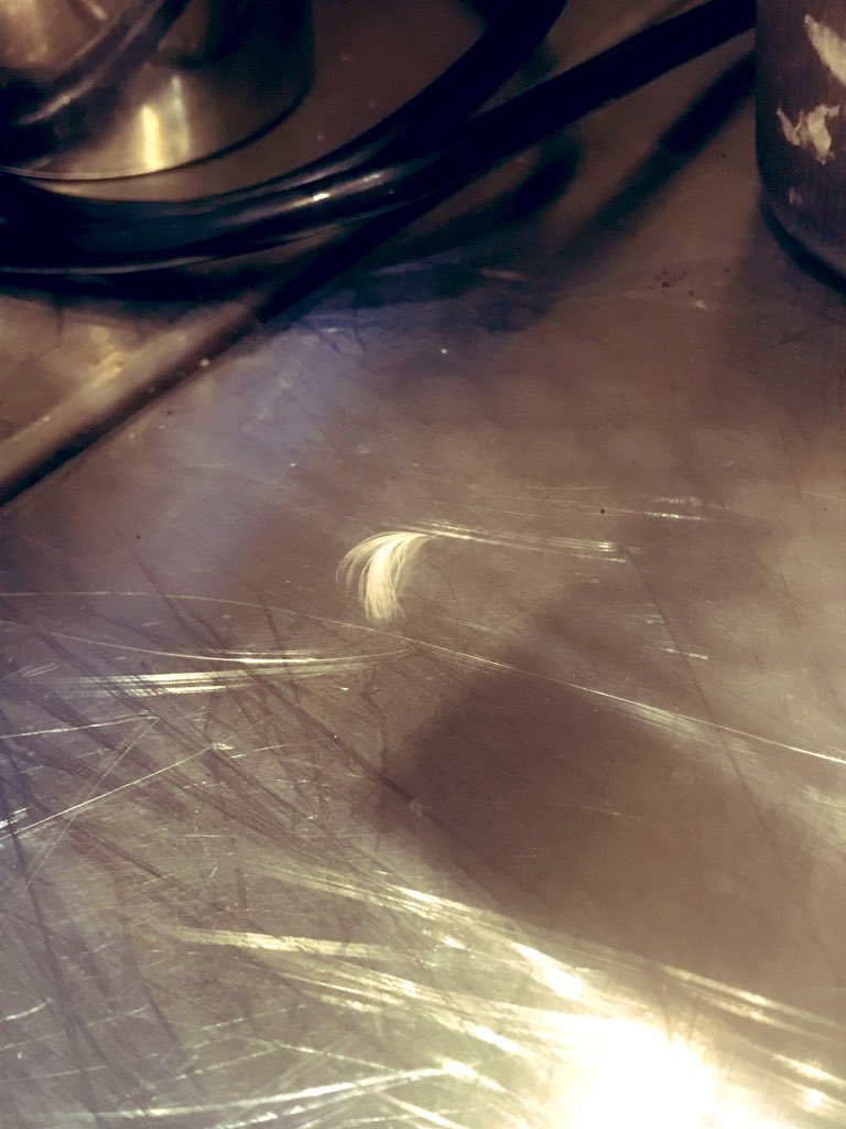 Michelle3ocal's tweet photo. I am superstitious 👌🏼 “A white feather could be a sign that your loved one is nearby” #WhiteFeather #TwoWeeksGone #Peace #Angels #NoWayThatCouldHaveBeenThere 🤔 #IJustCleaned 😨 #PositiveVibes #positivemindset #PositiveImpact #INeededThat #Feather #ContinueBlessingMeGod 🙏🏼 https://t.co/88bG699c82