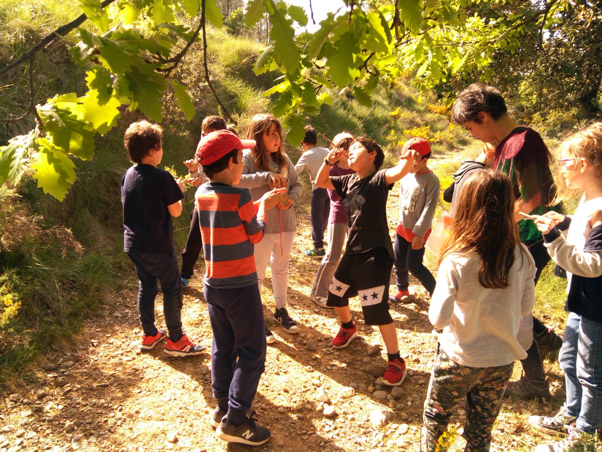 esconcepcio's tweet photo. Mira com van anar les colònies de segon a Montpol 🎒👉https://t.co/XfxYnCnWZd #montpol #colonies #escoladelaconcepcio https://t.co/RgDOA8RC6G