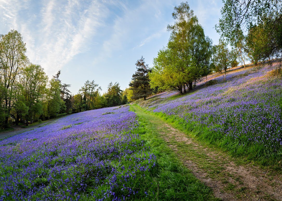 Malvern Hills AONB tweet media