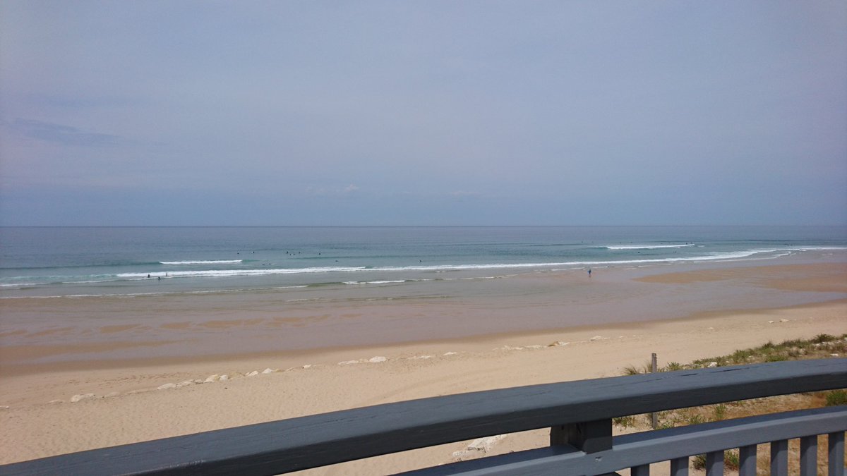 jessica335 tweet media