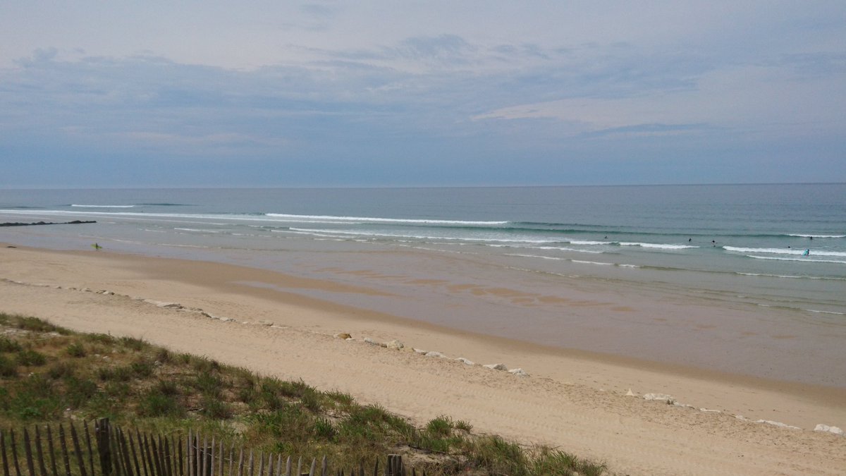 jessica335 tweet media