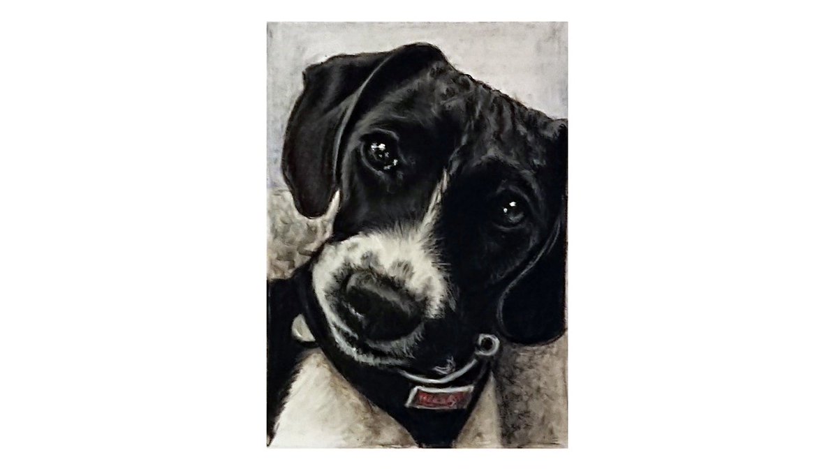 foundry_tweets's tweet photo. Our very own @TElliottFHC took part in @twitrartexhibit supporting the @artinhealthcare cause, and what better subject to pick than our gorgeous Bonnie https://t.co/orYNf6q9oV … #TAE19 #art #healthcare #artexhibition #newblogpost https://t.co/kFflEQ4IZC
