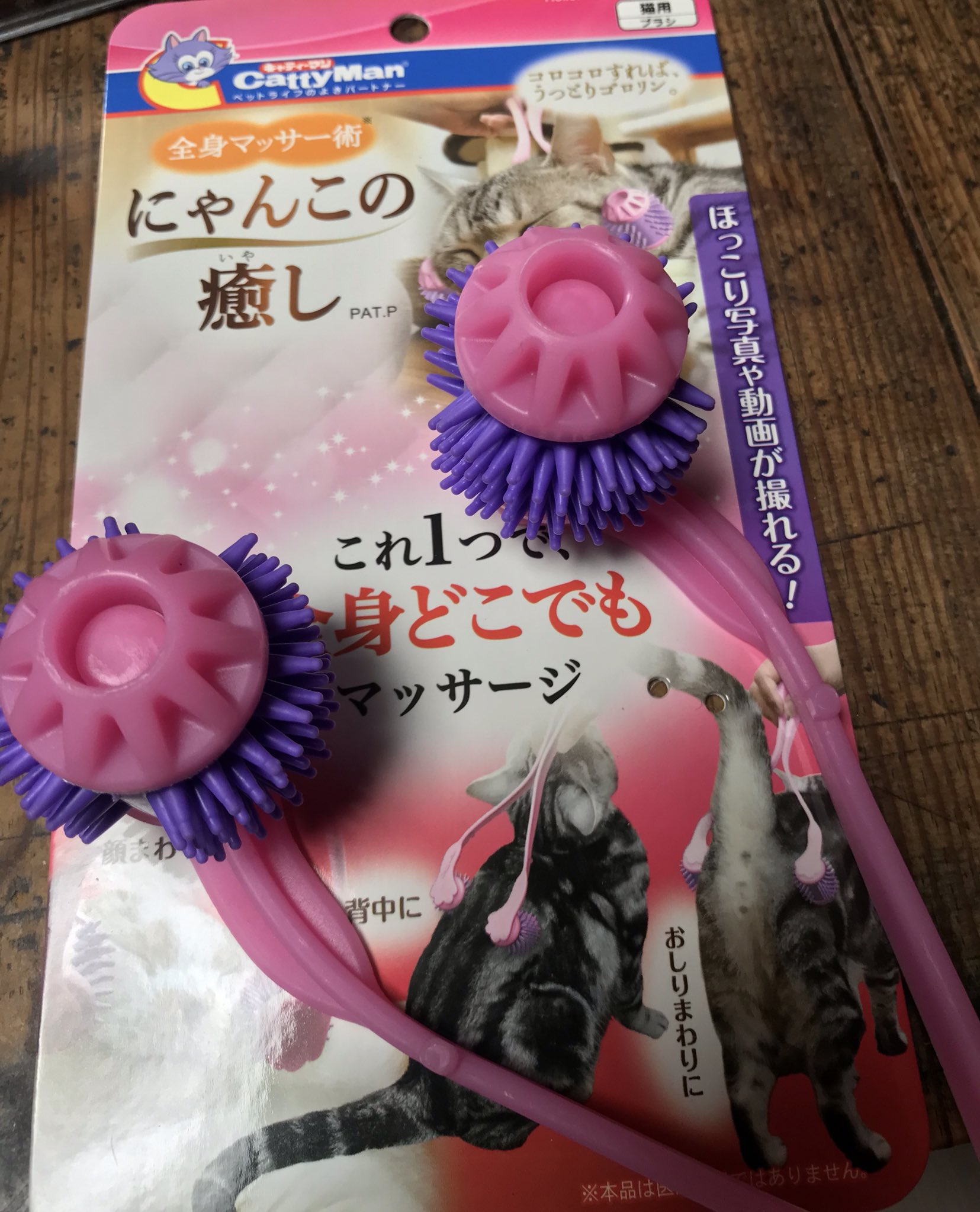 のらいぬ 猫のほっこり写真や動画が撮れる って書いてあったから買った のらいぬ 猫のほっこり写真や動画が撮れる って書いてあったから買った