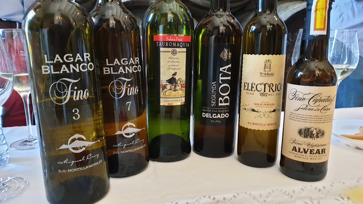 vinosdomm's tweet photo. .@enoloJISH en cata dirigida a los asistentes a la visita técnica @UAESsumilleres. 2 finos de @LagarBlanco, Tauromaquia de Bodegas Gracia, @toroalbala, @Bodegas_Alvear y @bodegasdelgado #MontillaMoriles https://t.co/9MuuBB3Zvf