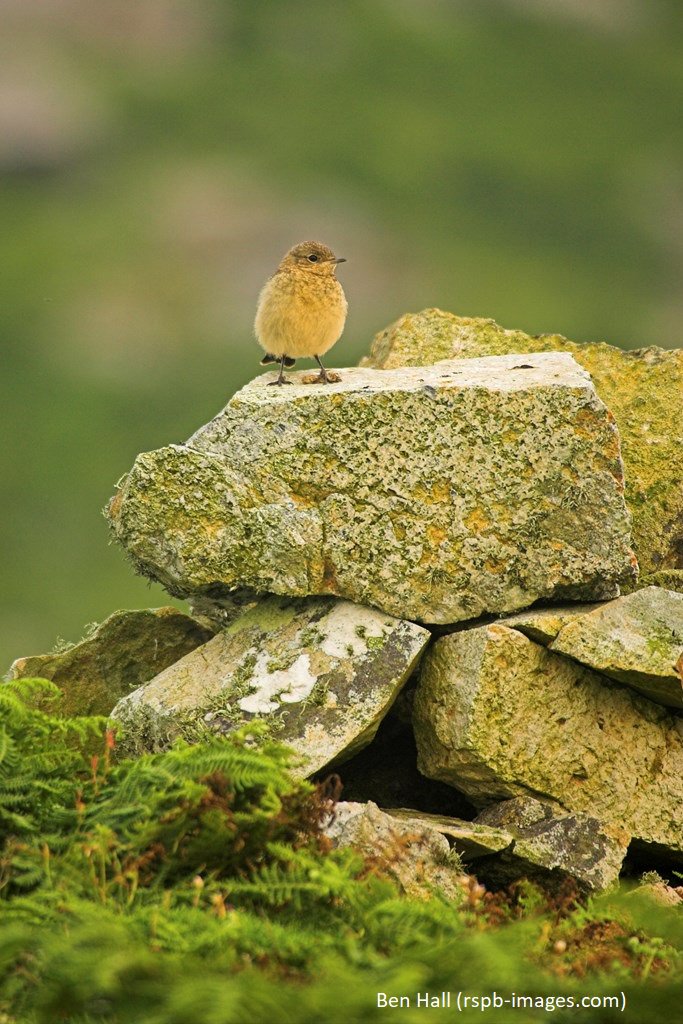 "I think I'll just sit here all day and look busy" #MondayMotivation