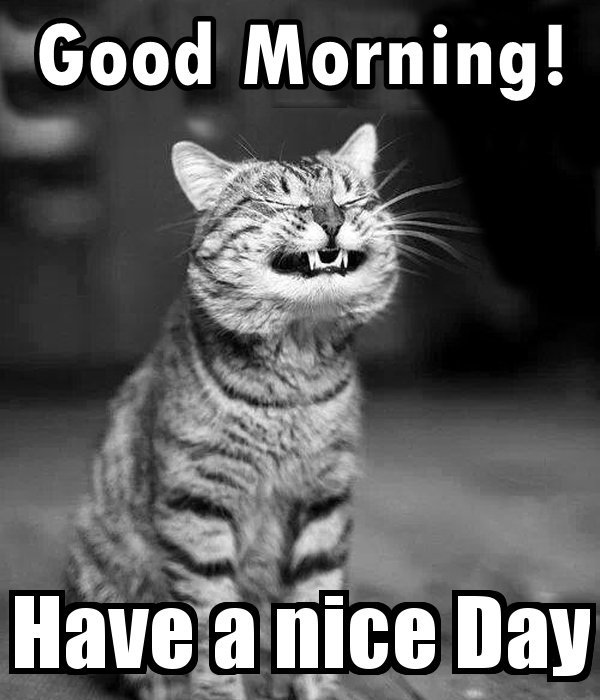 jeepgirlkeke's tweet photo. Have a great day yall. #Thursday #weekalmostover #Smile https://t.co/nIlkxro6CV