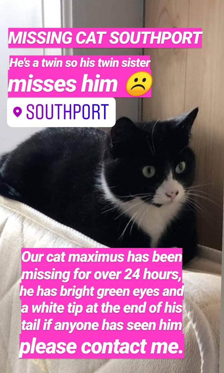 MISSING CAT SOUTHPORT