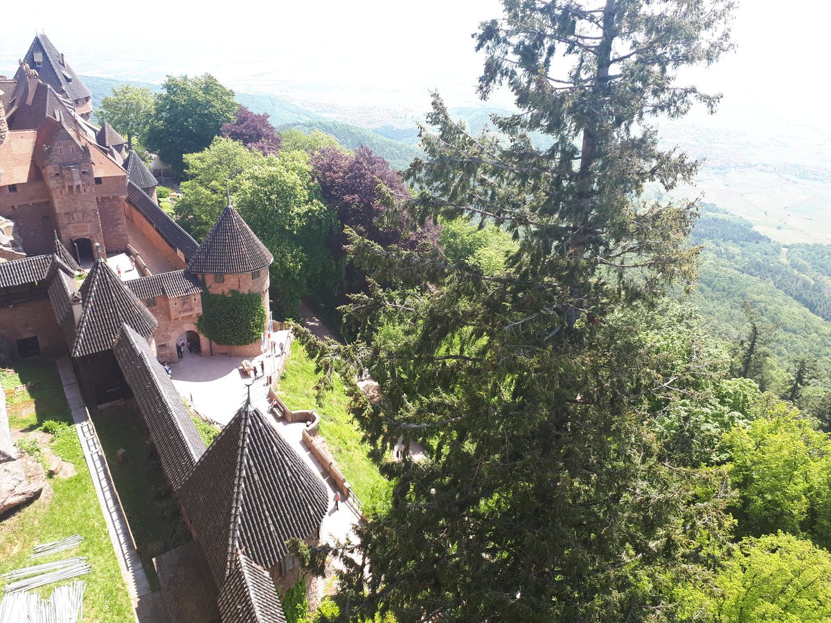 Kuypers Christel (@kuypersc) on Twitter photo Le château de Haut-Koenigsbourg s'impose au sommet d'une colline, il servit de château fort, puis de symbole de la puissance de Guillaume II #mslearns #alsace2019 <a href="/ISB_MS/">ISB Middle School</a> Le château de Haut-Koenigsbourg s'impose au sommet d'une colline, il servit de château fort, puis de symbole de la puissance de Guillaume II #mslearns #alsace2019 <a href="/ISB_MS/">ISB Middle School</a>