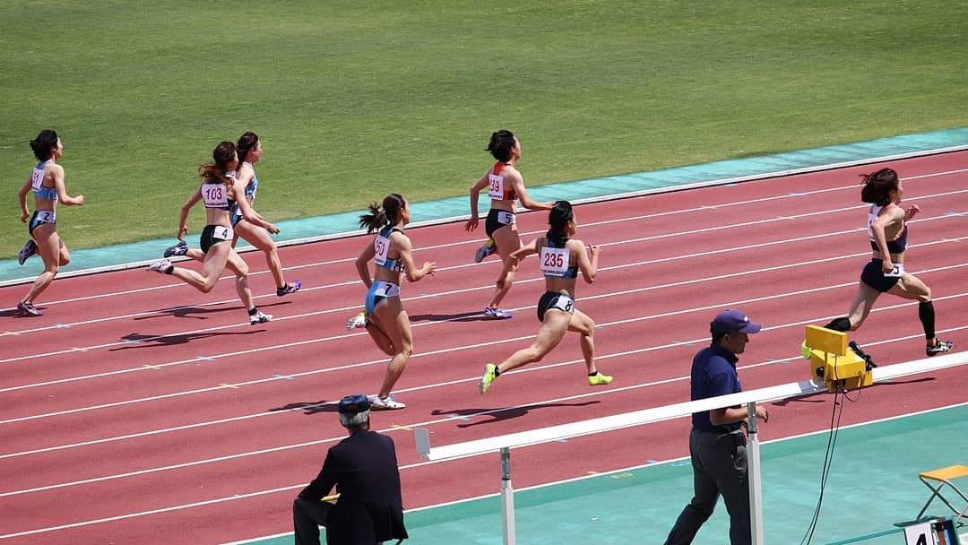 コレクション 佐藤日奈子